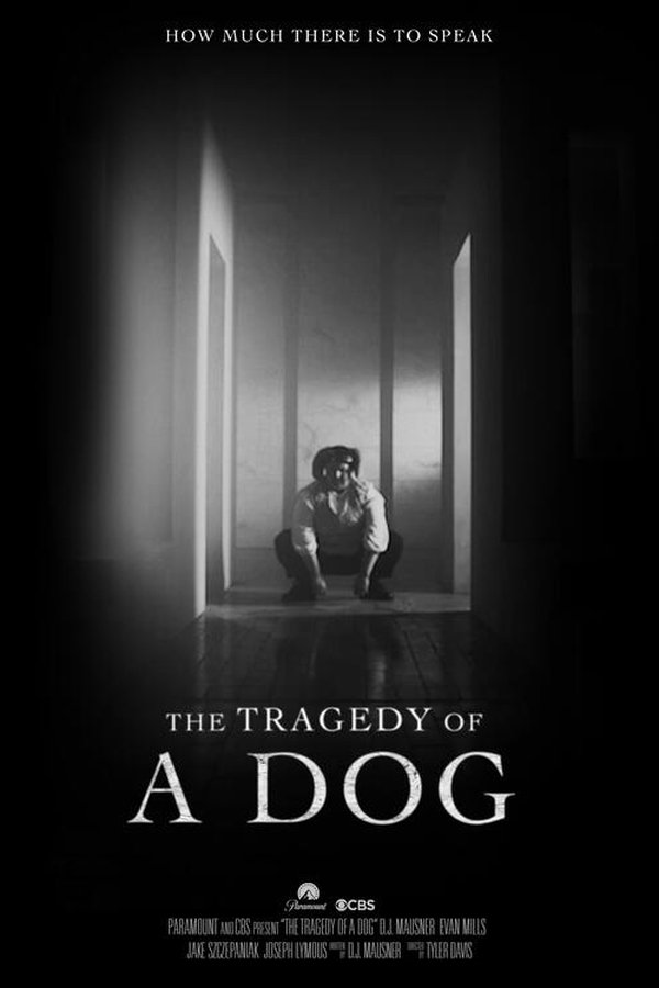 The Tragedy Of A Dog