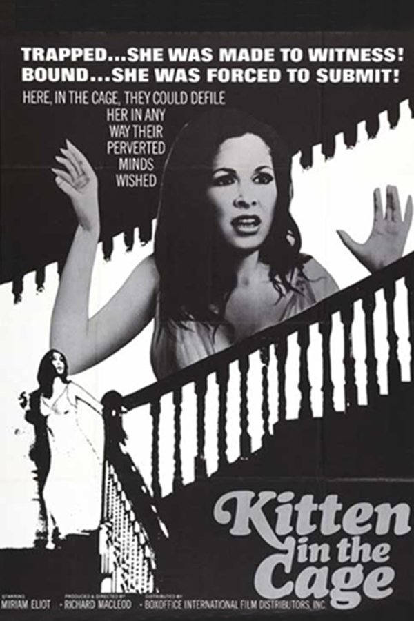 Kitten In A Cage