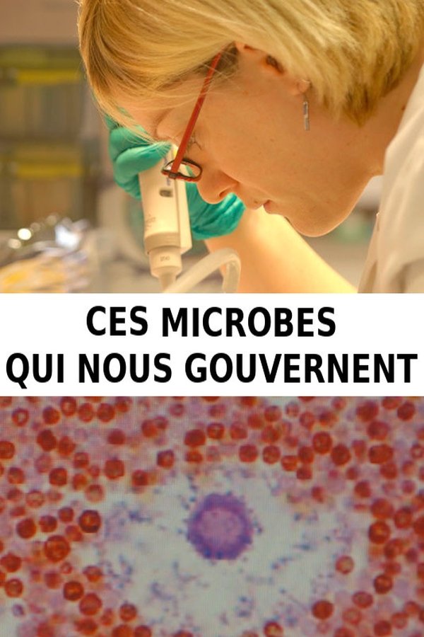 Ces Microbes Qui Nous Gouvernent