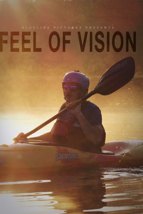 Feel Of Vision