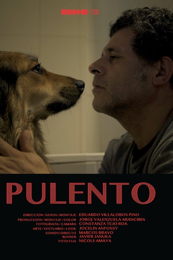 Pulento