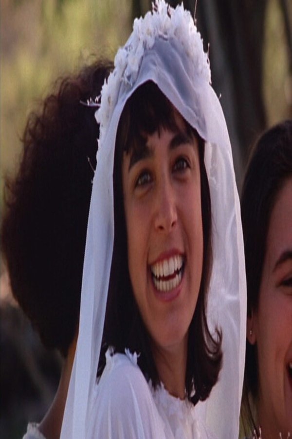 Festa De Casamento