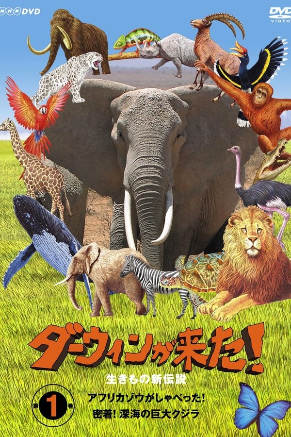 ダーウィンが来た!