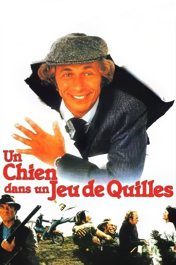Un Chien Dans Un Jeu De Quilles