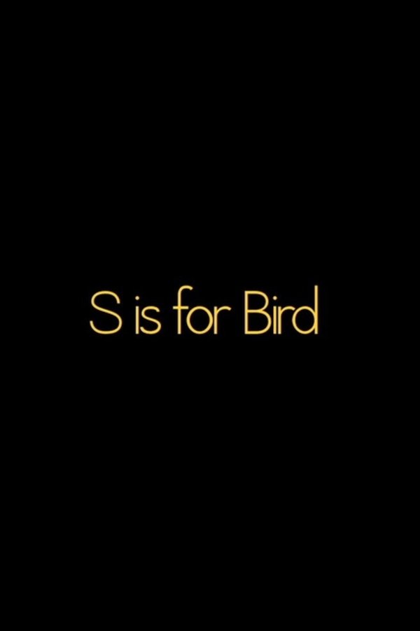 S Is For BIRD