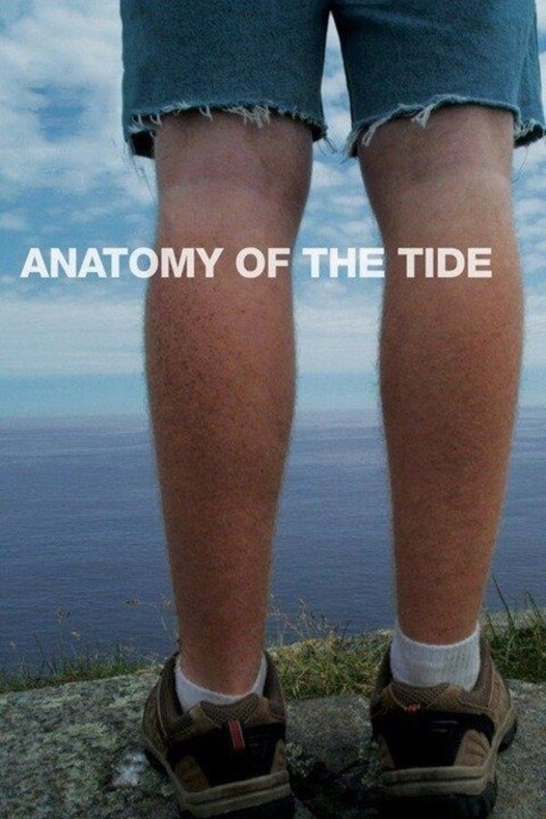 Anatomy Of The Tide
