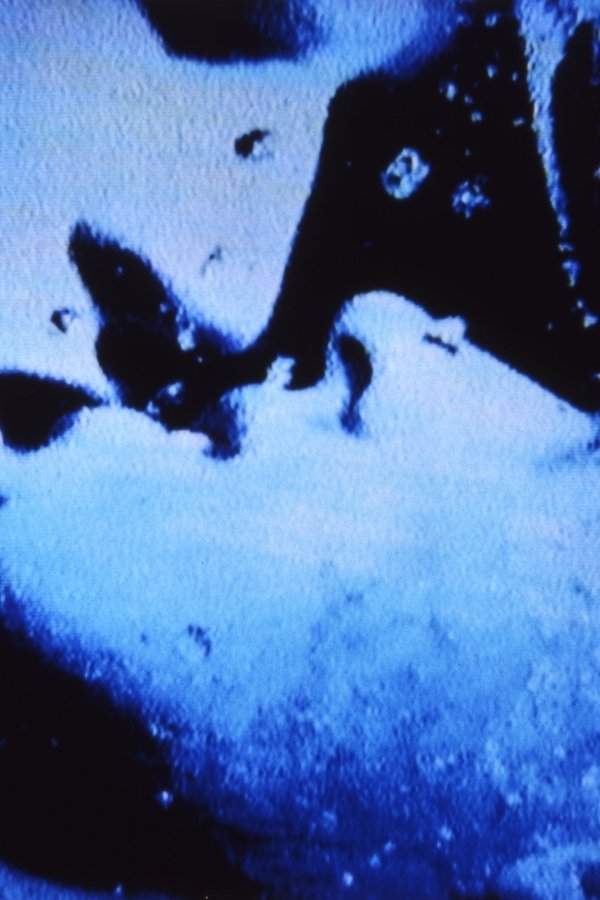 Self-Portrait In 23 Rounds: A Chapter In David Wojnarowicz’s Life, 1989–1991