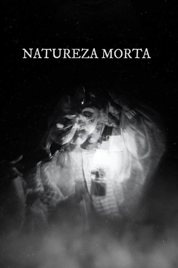 Natureza Morta