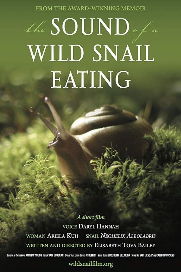 The Sound Of A Wild Snail Eating