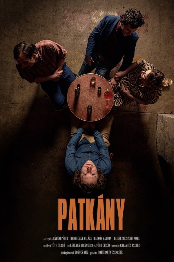 Patkány