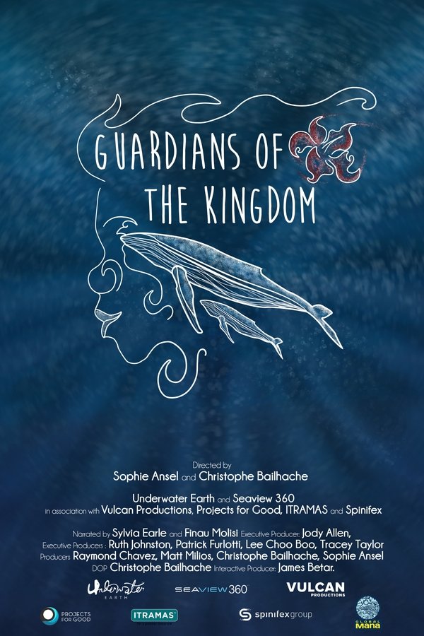 Guardians Of The Kingdom