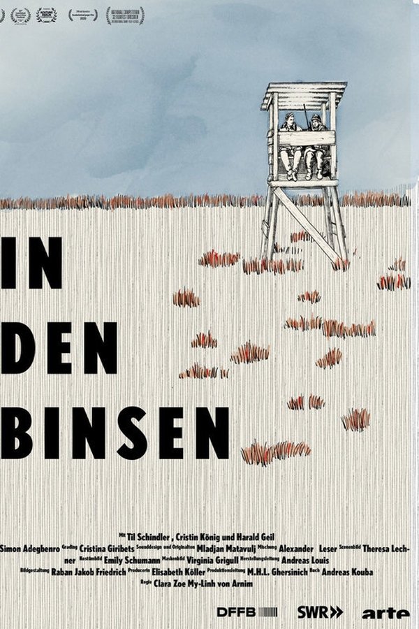 In Den Binsen