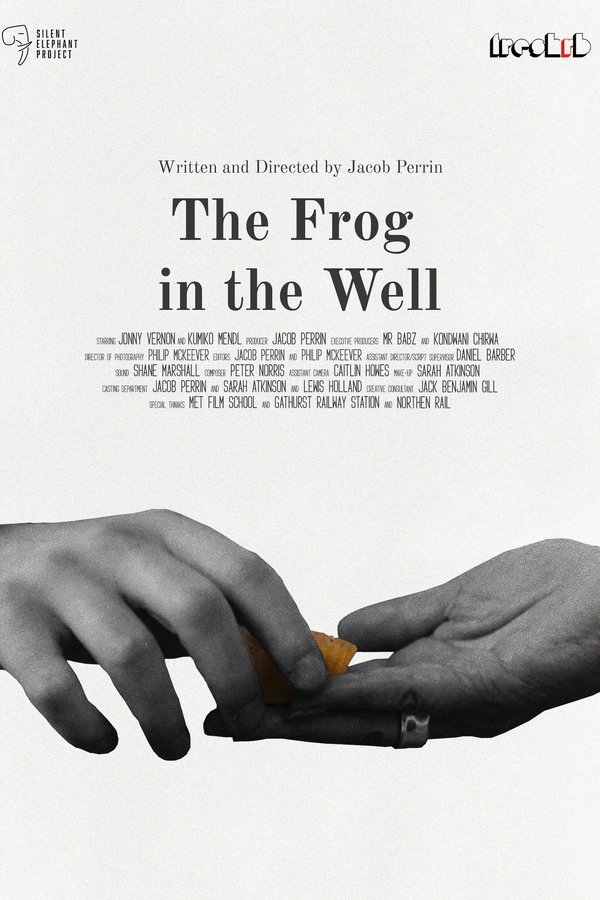 The Frog In The Well