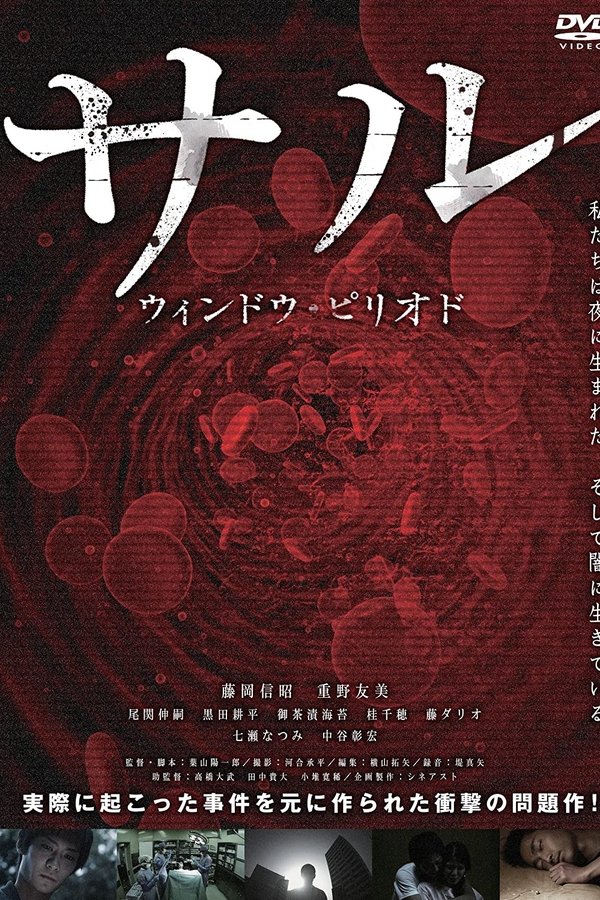 サル ウインドウ・ピリオド