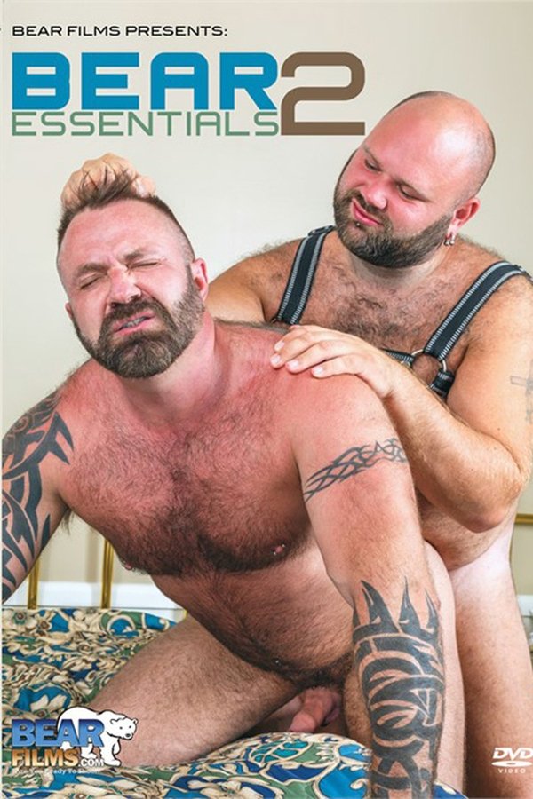 Bear Essentials 2