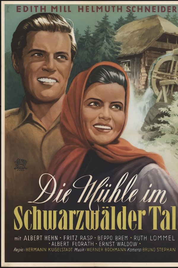 Die Mühle Im Schwarzwäldertal