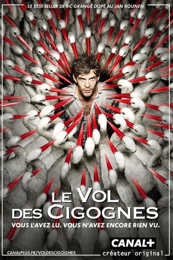 Le Vol Des Cigognes