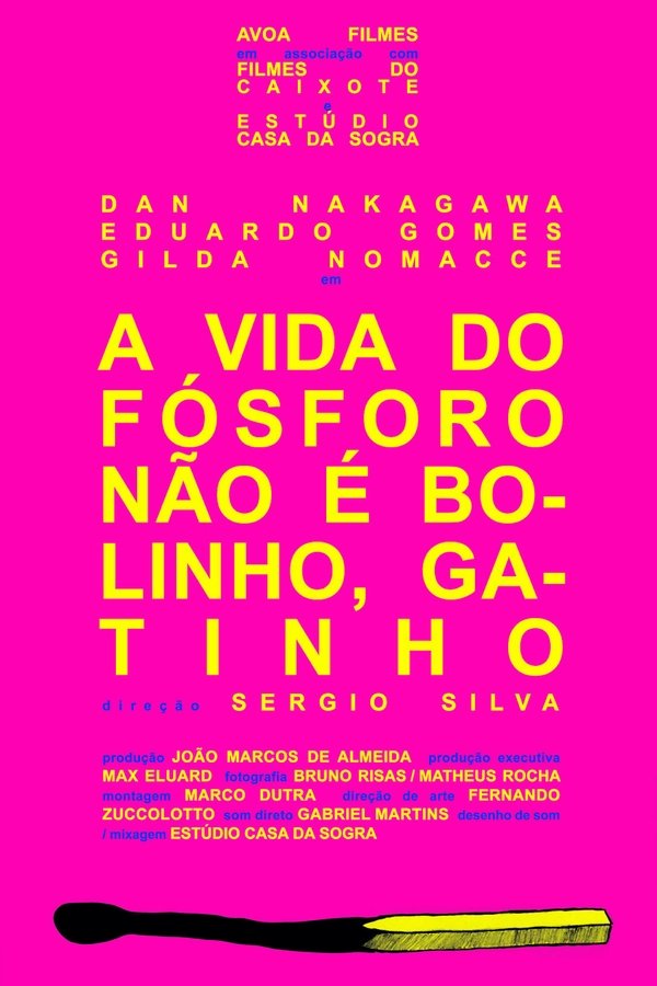A Vida Do Fósforo Não É Bolinho, Gatinho