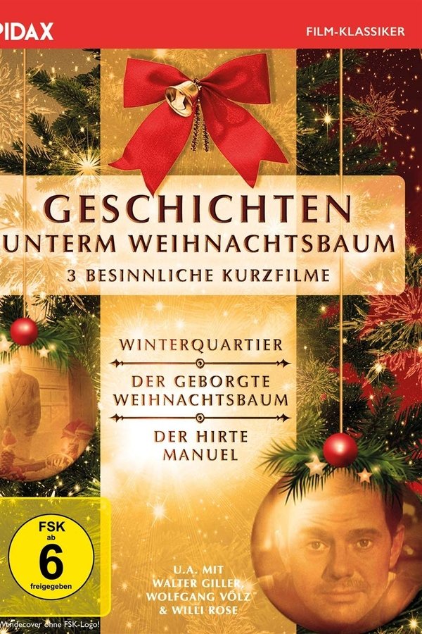 Der Geborgte Weihnachtsbaum