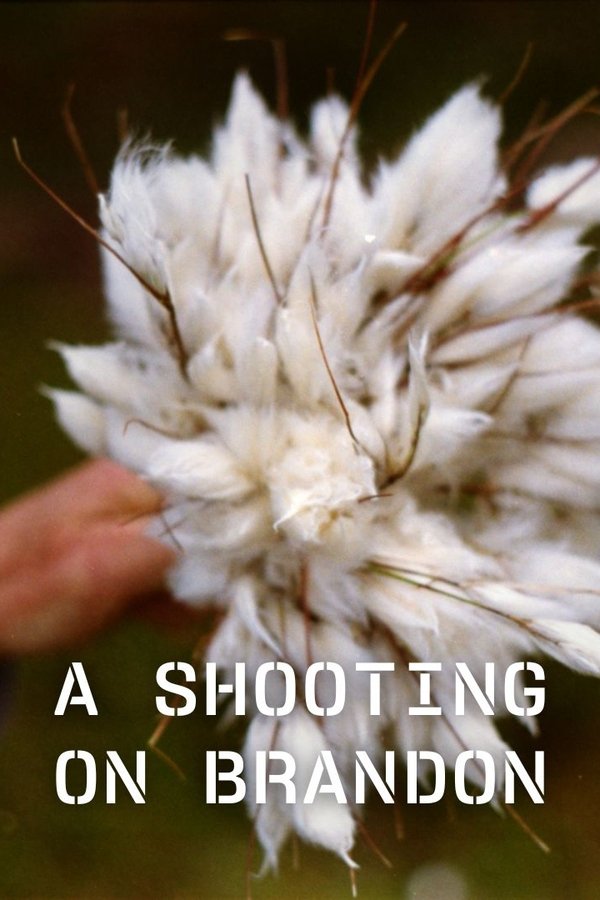 A Shooting On Brandon