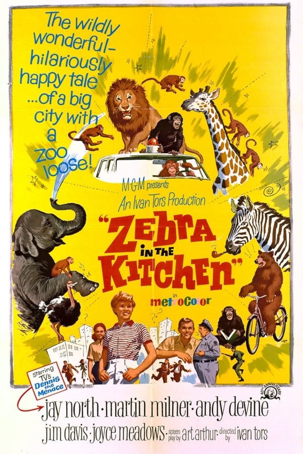 Zebra In The Kitchen