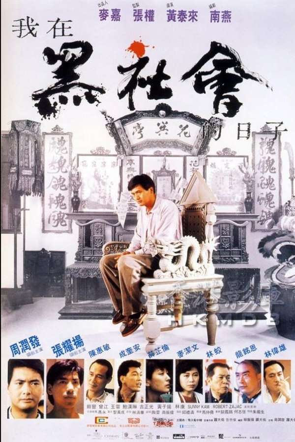 我在黑社會的日子