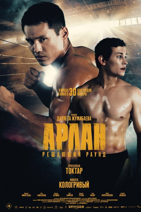 Арлан. Решающий раунд