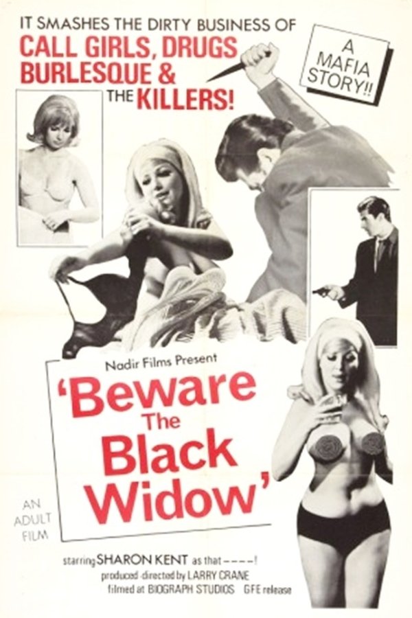 Beware The Black Widow
