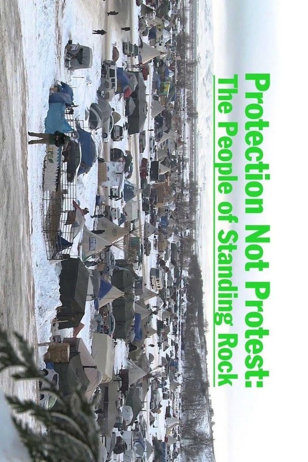Protection Not Protest: The People Of Standing Rock