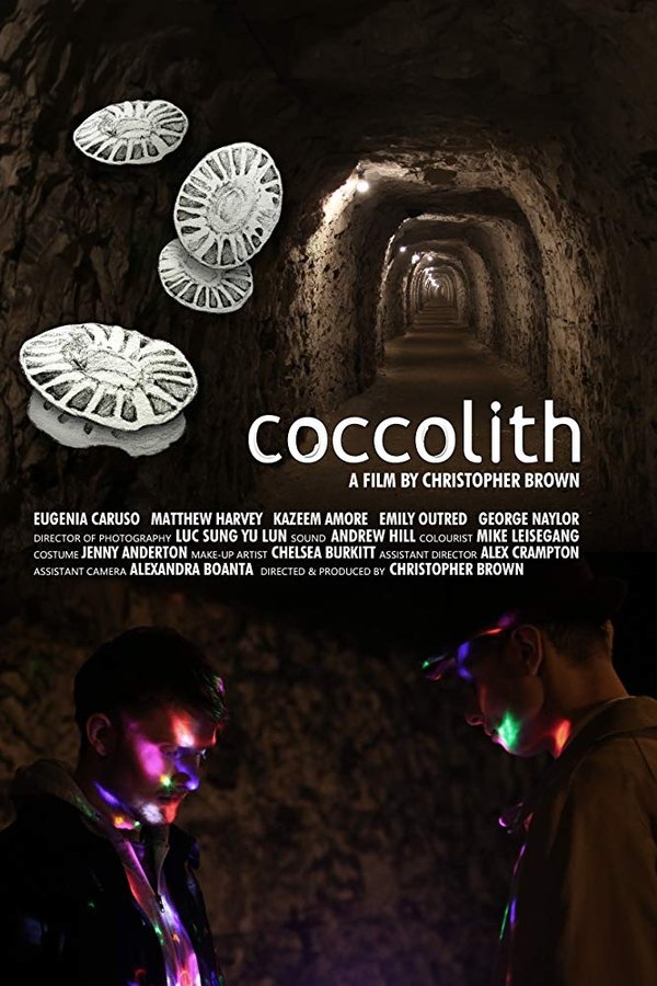 Coccolith