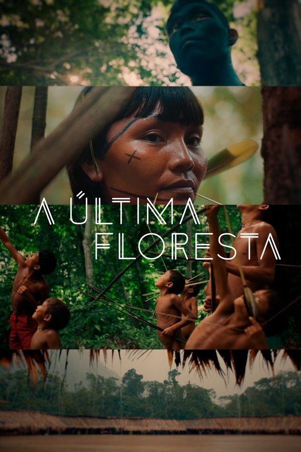 El último Bosque