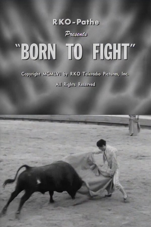 Born To Fight