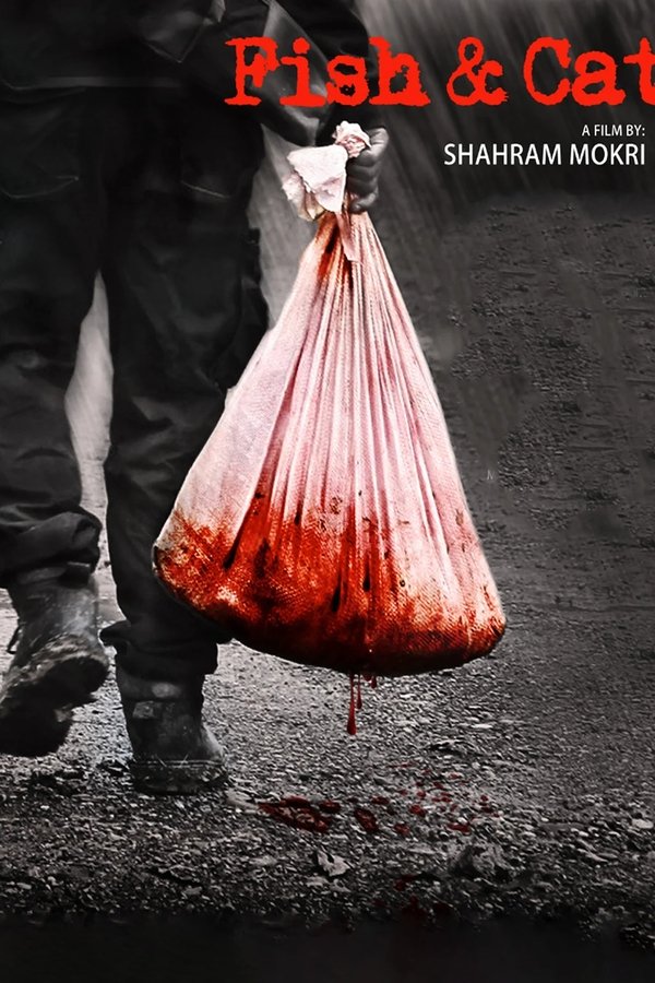 ماهی و گربه