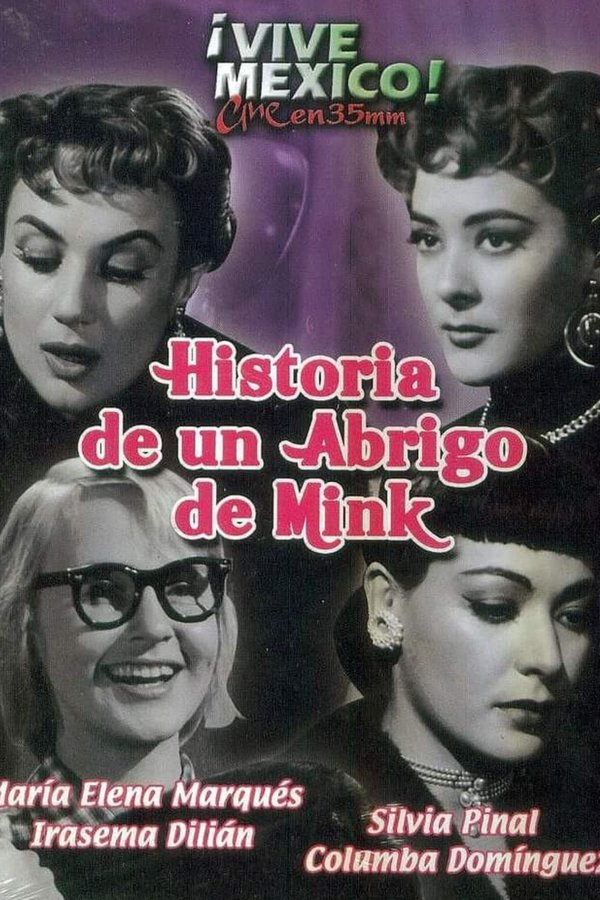 Historia De Un Abrigo De Mink
