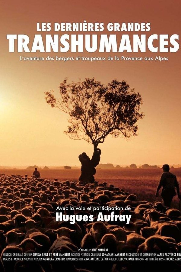 Les Dernières Grandes Transhumances