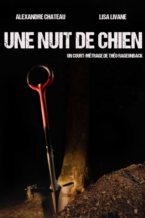 Une Nuit De Chien