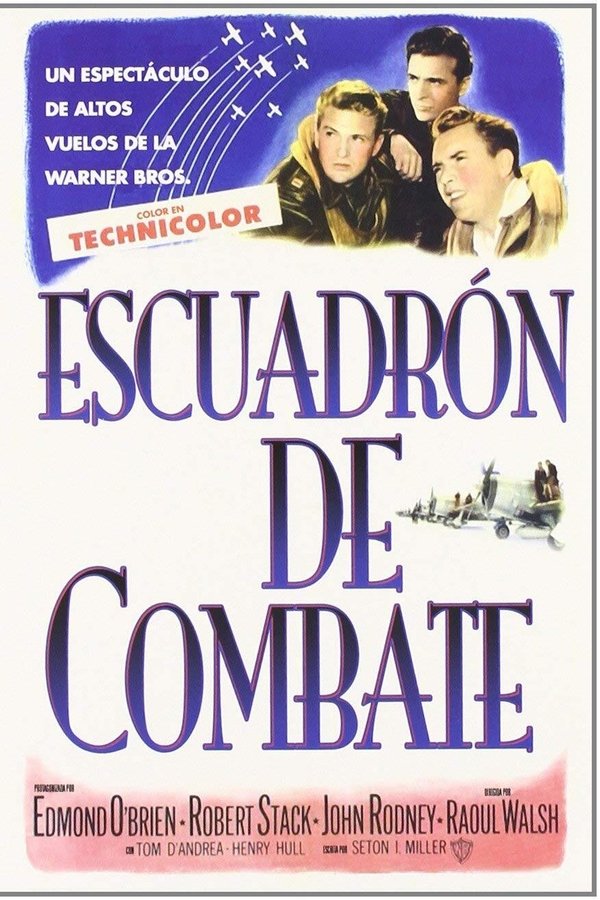 Fighter Squadron