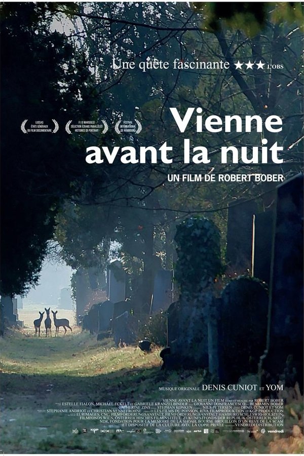 Vienne Avant La Nuit