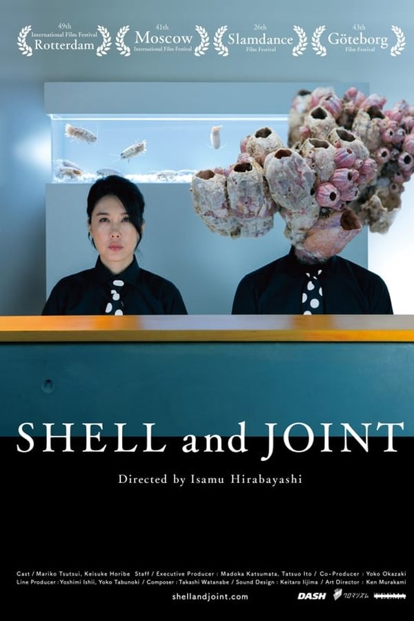 Shell And Joint