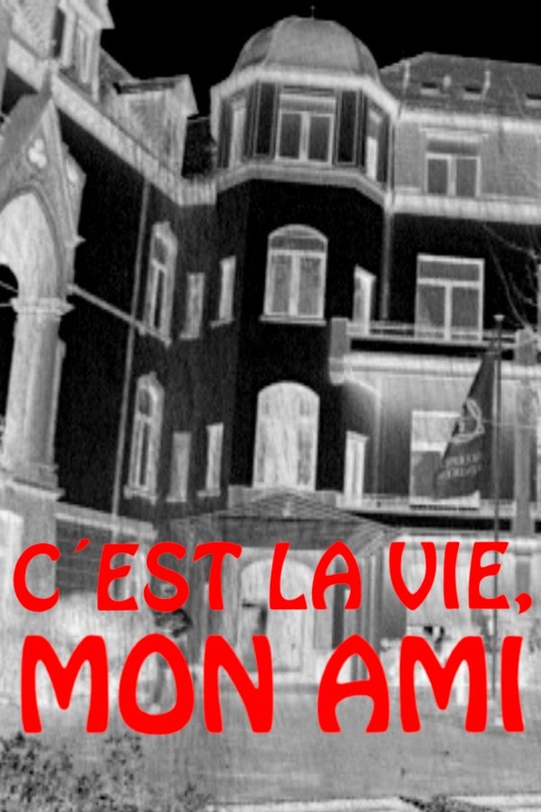 C'est La Vie, Mon Ami