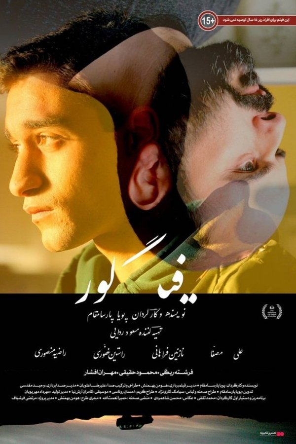 فیگور