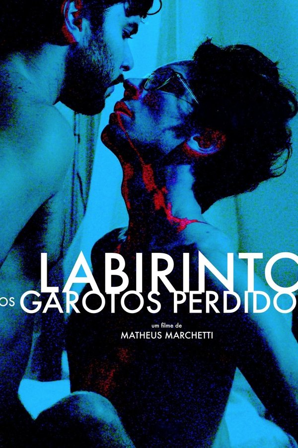 O Labirinto Dos Garotos Perdidos
