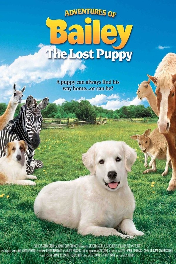 Adventures Of Bailey: The Lost Puppy