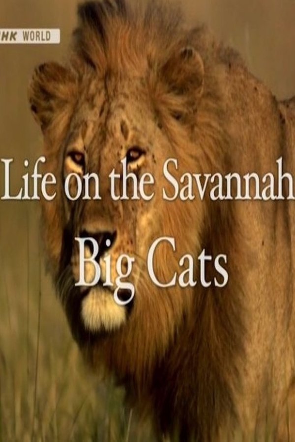 Life On The Savannah: Big Cats