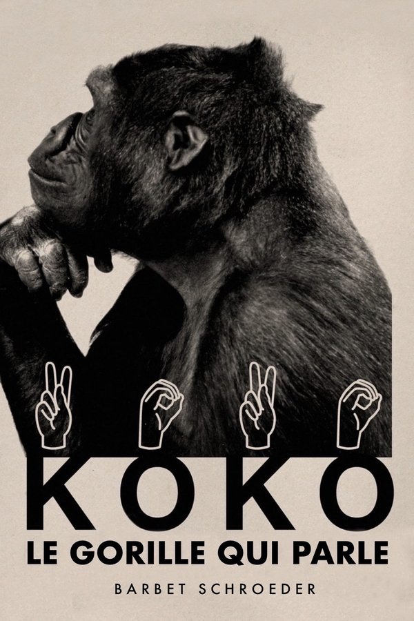 Koko, Le Gorille Qui Parle