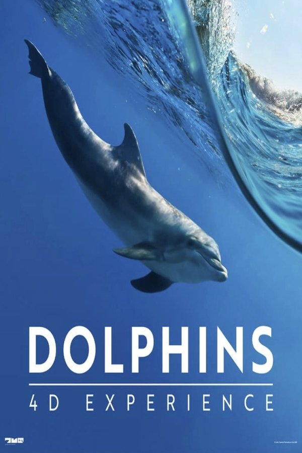 Dolphins 4-D Experience