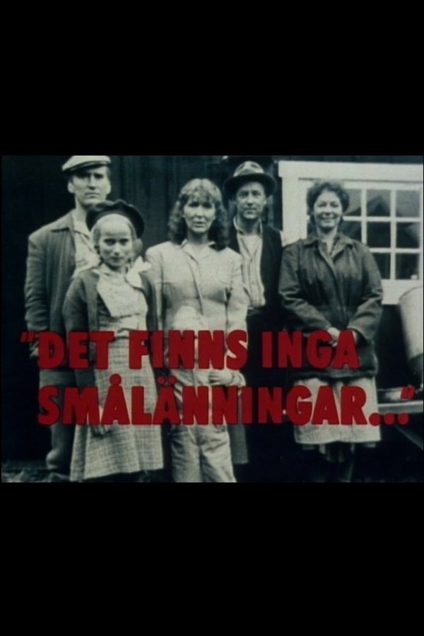 Det Finns Inga Smålänningar