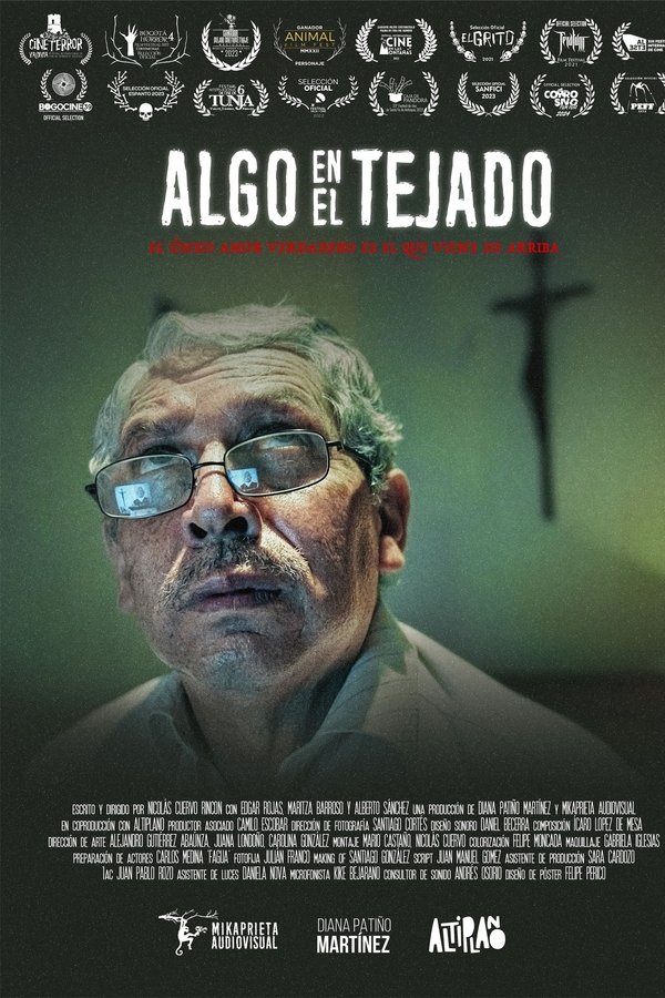 Algo en el tejado