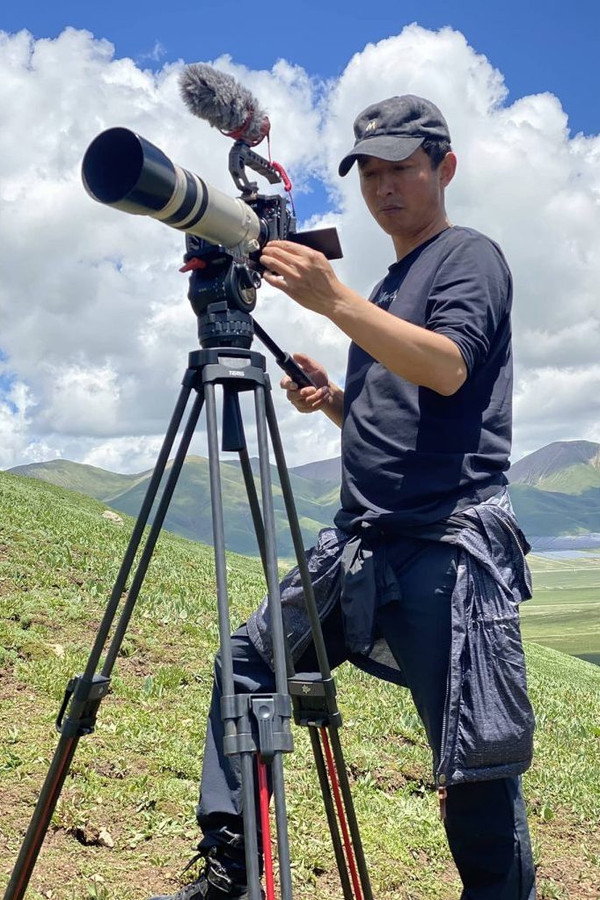Director