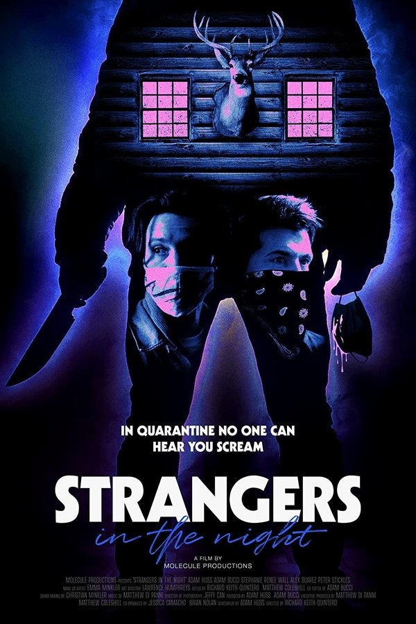 Strangers In The Night